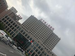 -辽宁省人民医院