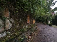 -九曲溪竹筏码头