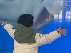 -泉城欧乐堡海洋极地世界