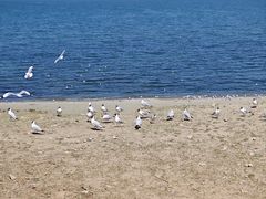 -青海湖二郎剑景区