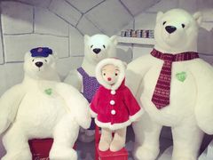 -济州岛泰迪熊博物馆