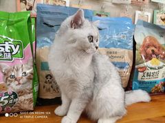 -仁华宠物医院(青羊店)