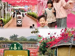 -盈香心动乐园