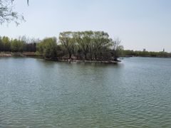 -大兴滨河森林公园