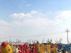 -梁鸿国家湿地公园