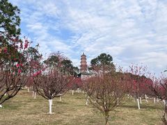 -广州莲花山旅游区