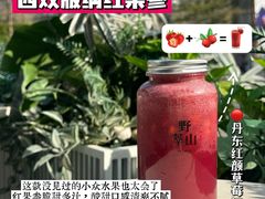 -野萃山·潮汕厚果汁(十亩地店)