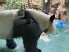 -成都雅诗阁来福士