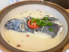 -全乐鱼馆·淳牌有机鱼直营店