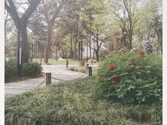 -大雁塔北广场音乐喷泉