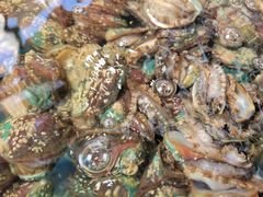 -87号烧烤海鲜·大排档(金沙滩店)