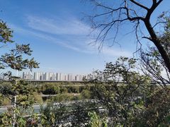 -永定河休闲森林公园