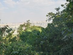 -灵岩山风景区