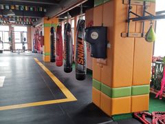 -臻元搏击格斗泰拳拳馆(港隆店)