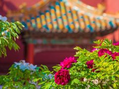 -故宫博物院(故宫)