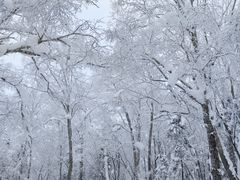 -雪谷