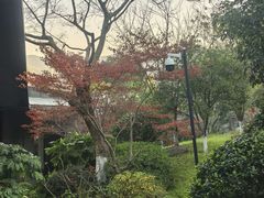 -雅达·阳羡溪山小镇中心