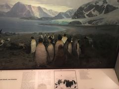 -美国自然历史博物馆