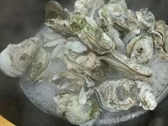 -蚝专家(北滘店)