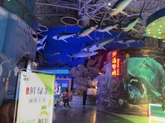 -烟台海昌鲸鲨海洋公园