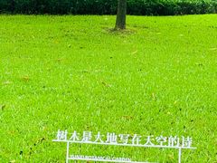 -云溪植物园