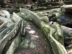 -东天目山风景区