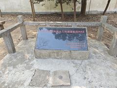 -上海佘山国家森林公园天马山园