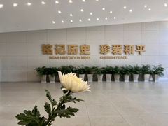 -侵华日军南京大屠杀遇难同胞纪念馆-停车场
