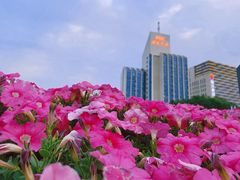 -泉城广场