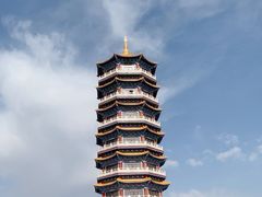 -金塔沙漠胡杨林景区