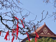 -开福禅寺