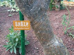 -南通洲际绿博园