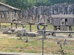 -上海野生动物园