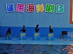 -蓬莱欧乐堡海洋极地世界