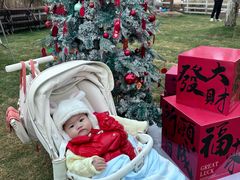 -HERRE·FARM 赫尔露营农场·团建聚会包场