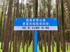 -青山湖景区