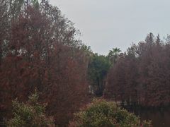-厦门园林博览苑