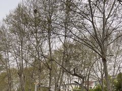 -扬大康源乳业鲜奶吧(大学北路店)