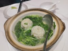 -丁老爷子苏香圆
