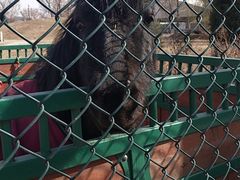 -酷鱼垂钓CLUB(朝阳区博大路店 )