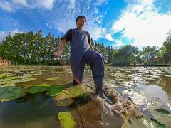 -上海长兴岛郊野公园