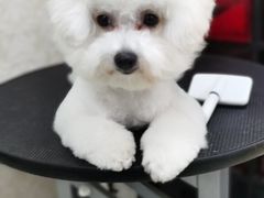 -乐琪宠物(青塔西路店)