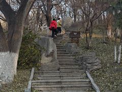 -锦绣公园