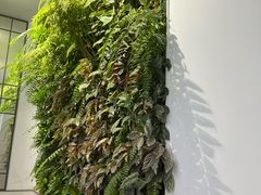 -Peet's Coffee皮爷咖啡(华强北茂业店)