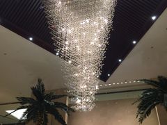 -常州环球恐龙城维景国际大酒店