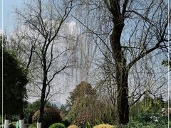 -铁山坪森林公园