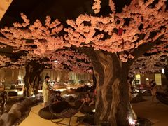 -蓝鲸湾汤泉(包河店)