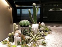 -大树餐厅(红旗街万达店)