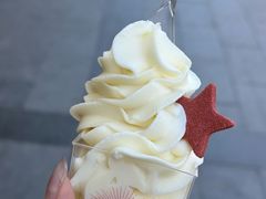 -红星前进面包牛奶公司(畅春园店)