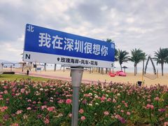 -玫瑰海岸文化旅游度假区